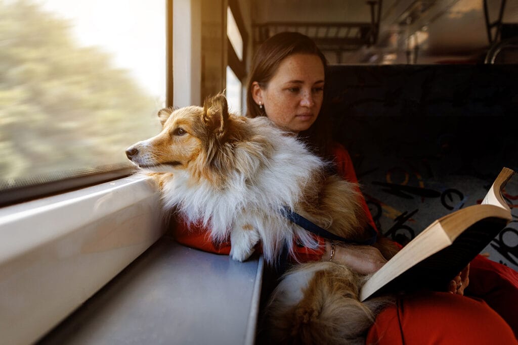 Een jonge vrouw in een trein met een hond op haar schoot. De hond kijkt uit het treinraampje